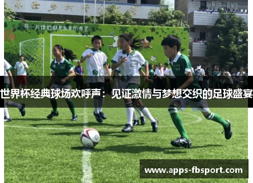 世界杯经典球场欢呼声：见证激情与梦想交织的足球盛宴