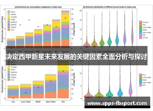 决定西甲新星未来发展的关键因素全面分析与探讨