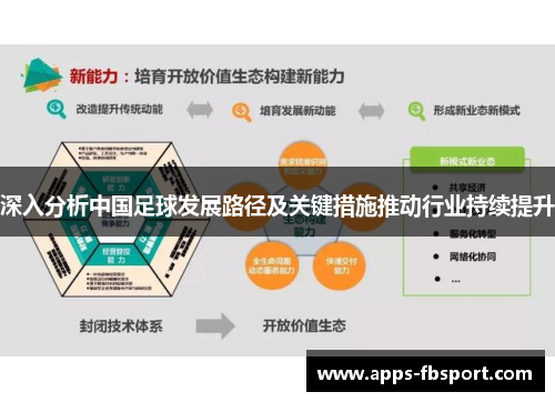 深入分析中国足球发展路径及关键措施推动行业持续提升