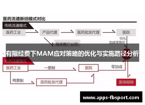 有限经费下MAM应对策略的优化与实施路径分析