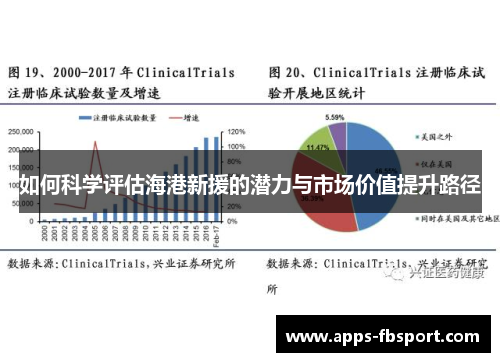 如何科学评估海港新援的潜力与市场价值提升路径