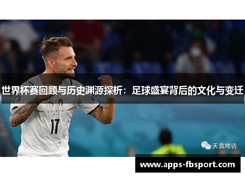 世界杯赛回顾与历史渊源探析：足球盛宴背后的文化与变迁